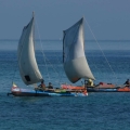 anakao 499