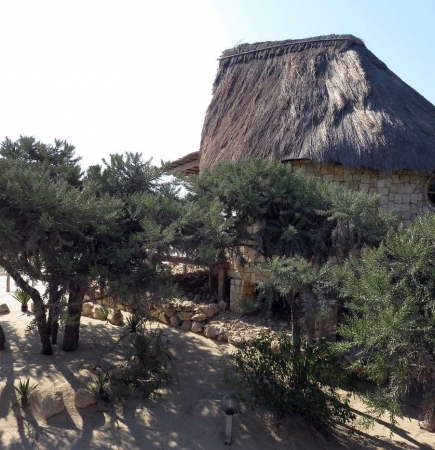 Family Bungalow